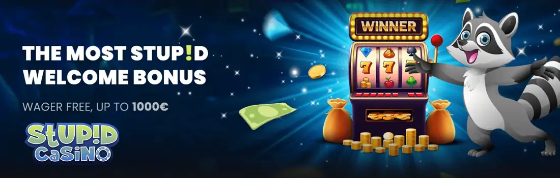 Stupid Casino