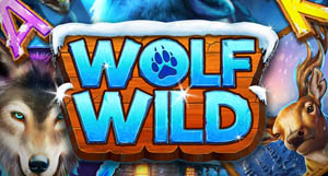 30 FreeSpins sur Wolf Wild